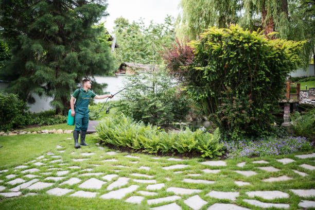 Best Pest Control Treatment  in Rose Hills, CA