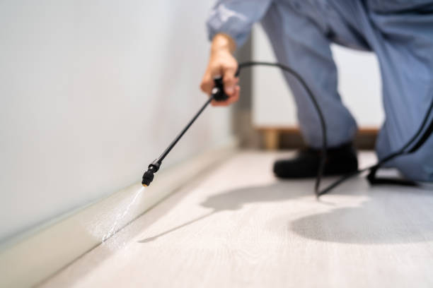 Best Flea Control Services  in Rose Hills, CA