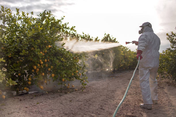 Best Best Pest Control Companies  in Rose Hills, CA