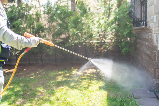 Best Pest Prevention Services  in Rose Hills, CA