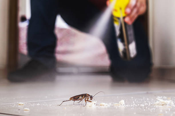 Best Commercial Pest Control Services  in Rose Hills, CA
