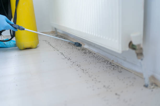 Pest Control for Restaurants in Rose Hills, CA