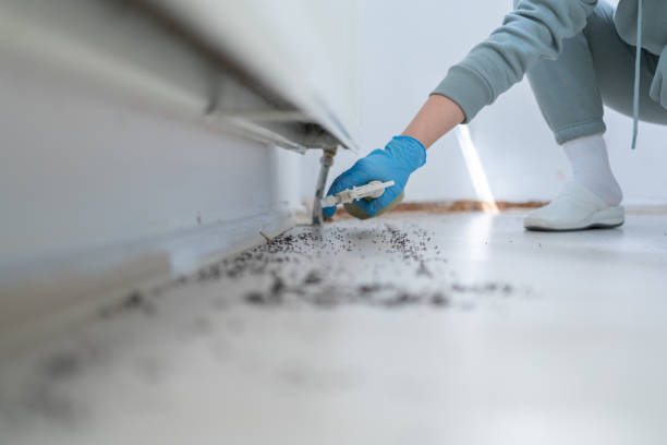 Best Bed Bug Extermination  in Rose Hills, CA