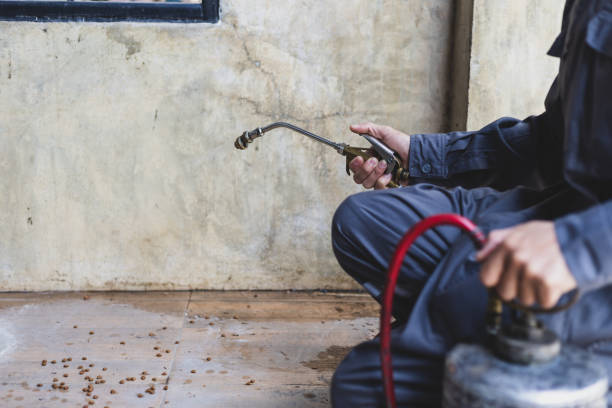 Best Best Pest Control Companies  in Rose Hills, CA