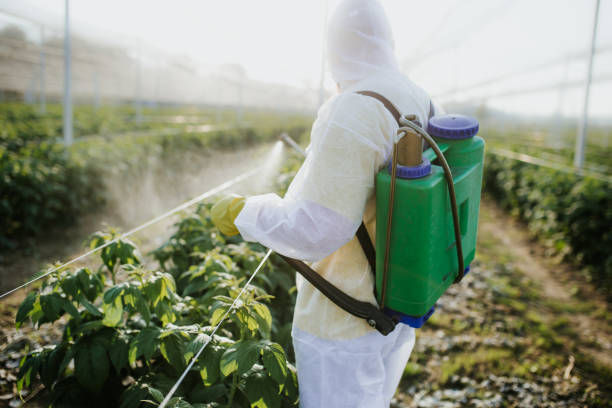 Best Wildlife Control Services  in Rose Hills, CA